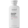 Absolute Volume   Amplifying Conditioner 250 ml