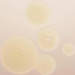 AMPOULE CONCENTRATES   Active Purifier  7 x 2 ml