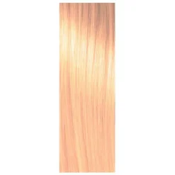 Argan & Keratin   Color