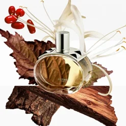 Barénia   Hair Mist Spray 30 ml