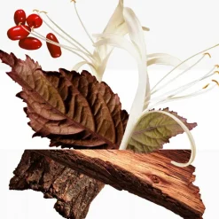 Barénia Parfümierte Körpercreme 200 ml