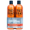 BED HEAD   Colour Goddess Oil Infused Tween Duo