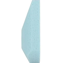 Bimsschwamm Antibacterial
