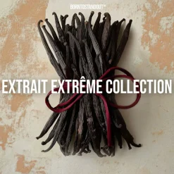 Black Mango Extrait de Parfum 50 ml