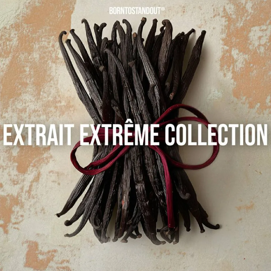 Black Mango Extrait de Parfum 50 ml