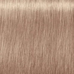 BLONDME   Bleach & Tone