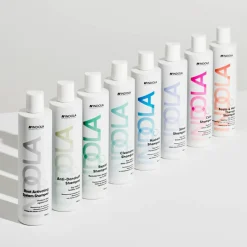 Care & Style Silver  Shampoo