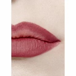 CHANEL LE CRAYON À LÈVRES Nr. 172 BOIS  | baslerbeauty