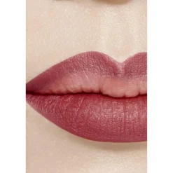 CHANEL LE CRAYON À LÈVRES Nr. 172 BOIS  | baslerbeauty