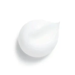 CHANEL CAMELLIA REPAIR MASK 50 g | baslerbeauty