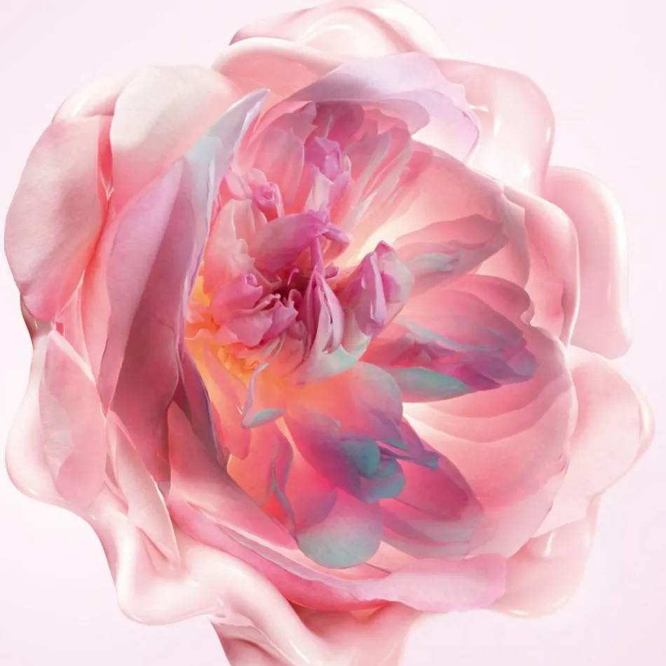 DIOR Miss Dior Körpercreme 150 ml | baslerbeauty