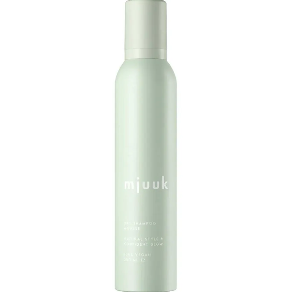 Dry Shampoo Mousse 250 ml