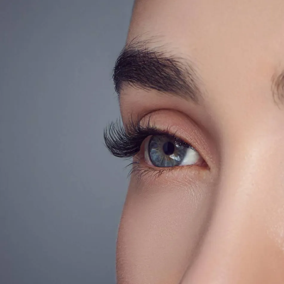Falscara Eyelash - Starter Kit
