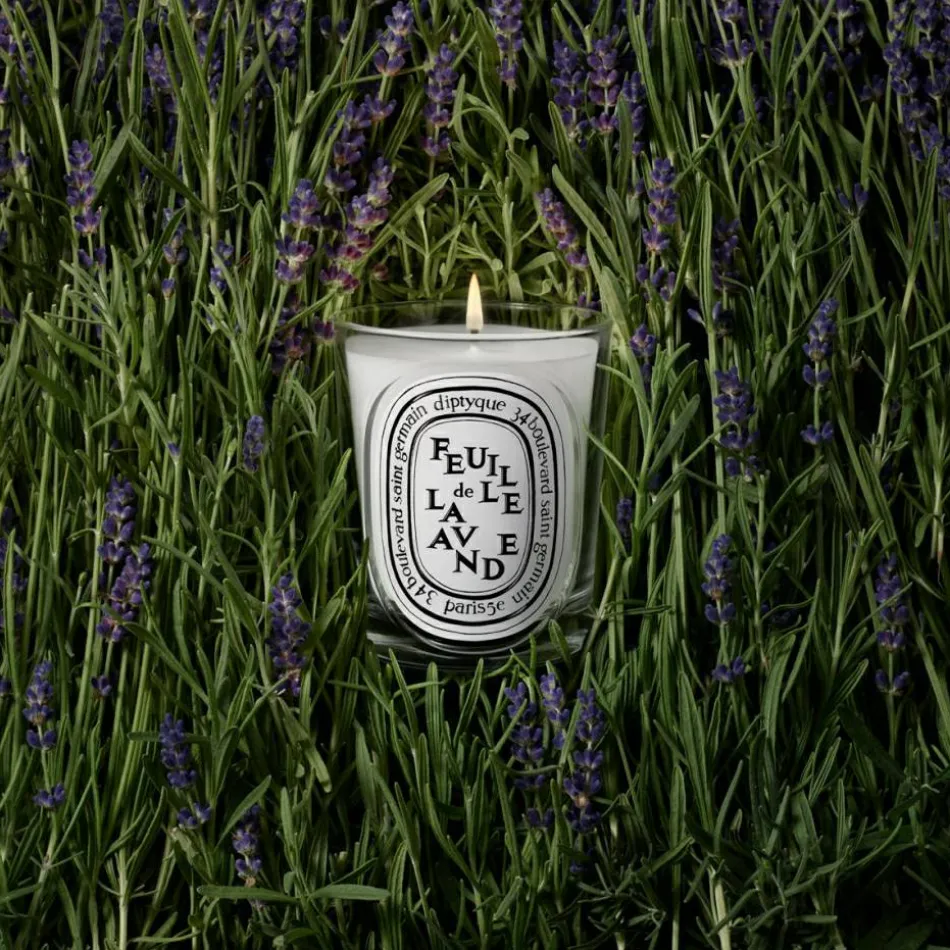 Feuille de Lavande Classic Candle 190 g