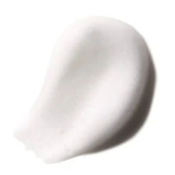 Fiber Foam 200 ml