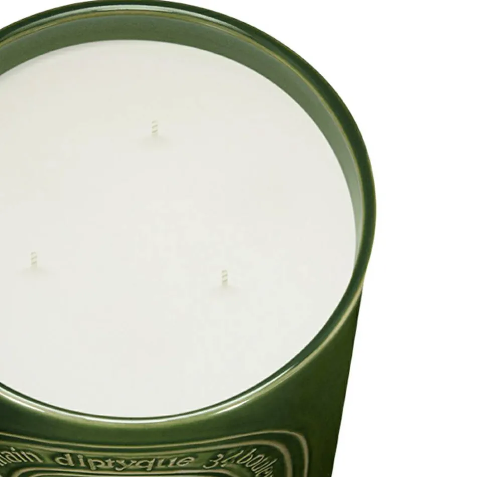 Figuier Candle 600 g