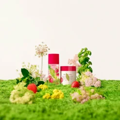 GREEN TEA   Strawberry Basil Honey Drops Body Cream 500 ml