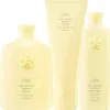 Hair Alchemy   Resilience & Fortifying Trio-Set