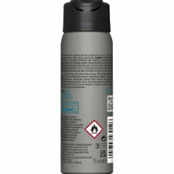 HAIRSTAY   Dry Oil Hairspray