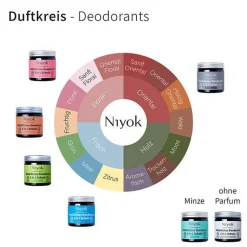 2 in 1 anti-transpirante Deocreme - Kokos | ohne Parfum 40 ml