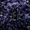 Iris Pallida Eau de Parfum 100 ml