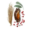 James Eau de Parfum 100 ml