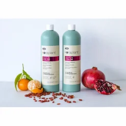 Keraplant Absolute Color  Acidifying Post-Colour Conditioner 1 Liter