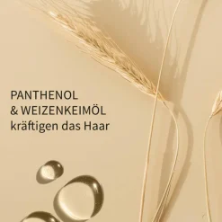 Langes Haar   Stabilisator 200 ml Sprühflasche