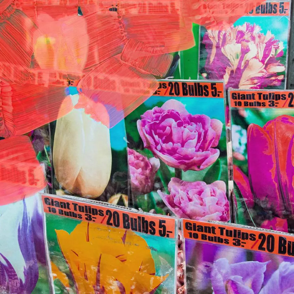 La Tulipe Hand Cream 30 ml