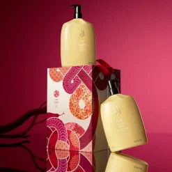 Lunar New Year Hair Alchemy Liter Set
