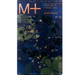 Molecule   01 + Black Tea 100 ml