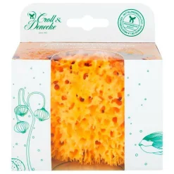 Naturschwamm in umweltfreundlicher Geschenkbox