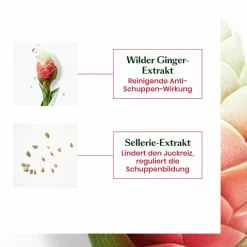Neopur   Ausgleichendes Anti-Schuppen Shampoo für fettige Kopfhaut 150 ml