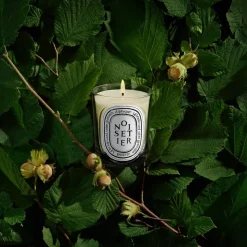 Noisetier Classic Candle 190 g