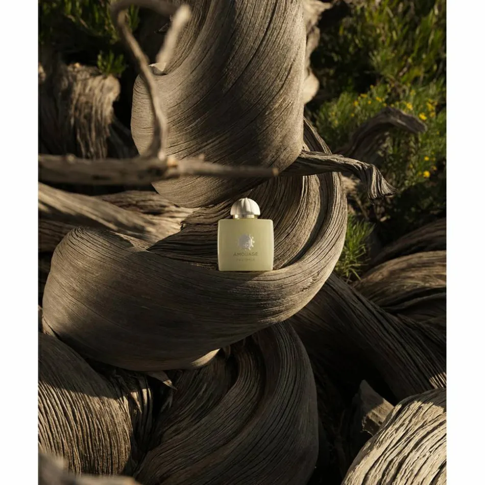 Odyssey Existence Eau de Parfum 100 ml