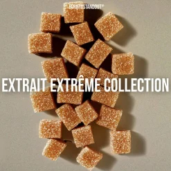 Oud Candy Extrait de Parfum 50 ml