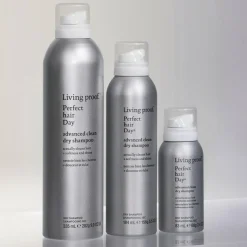 Perfect hair Day Advanced Clean Dry Shampoo 355 ml
