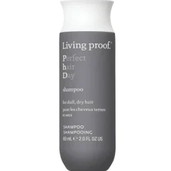Perfect hair Day   Shampoo