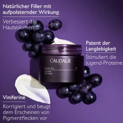 Premier Cru   Die Creme Nachfüllpackung 50 ml