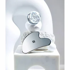 Premium Edelstahl-Gesichtsmassager
