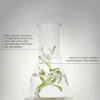PRODIGY CELLGLOW   Concentrate 50 ml