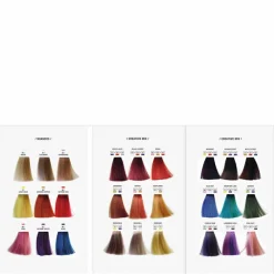 Professional   Direct Colour Mask Farbkarte