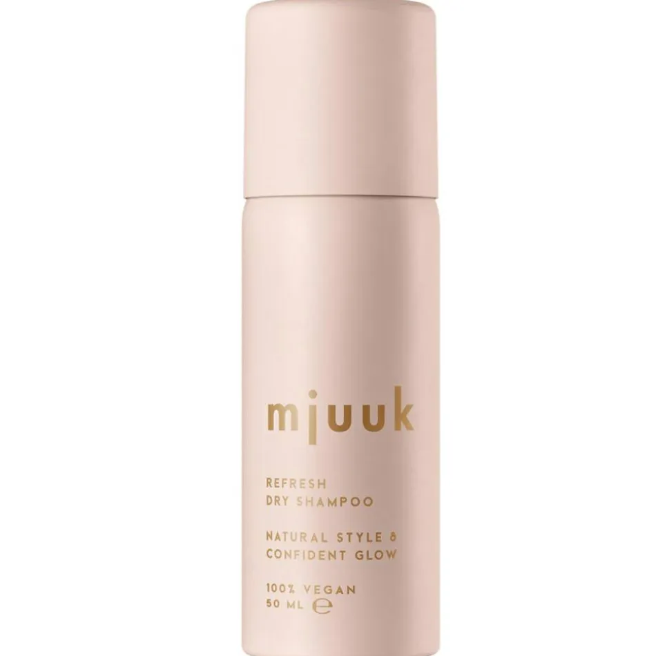 Refresh Dry Shampoo
