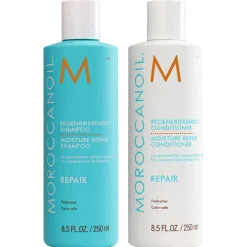 REPAIR   Moisture Repair Set