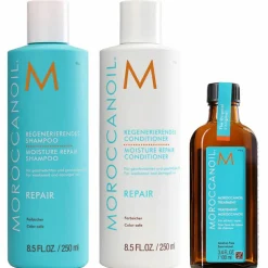 REPAIR   Moisture Repair Set