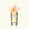 Rose Arabia Collection   Almond Extrait de Parfum 100 ml