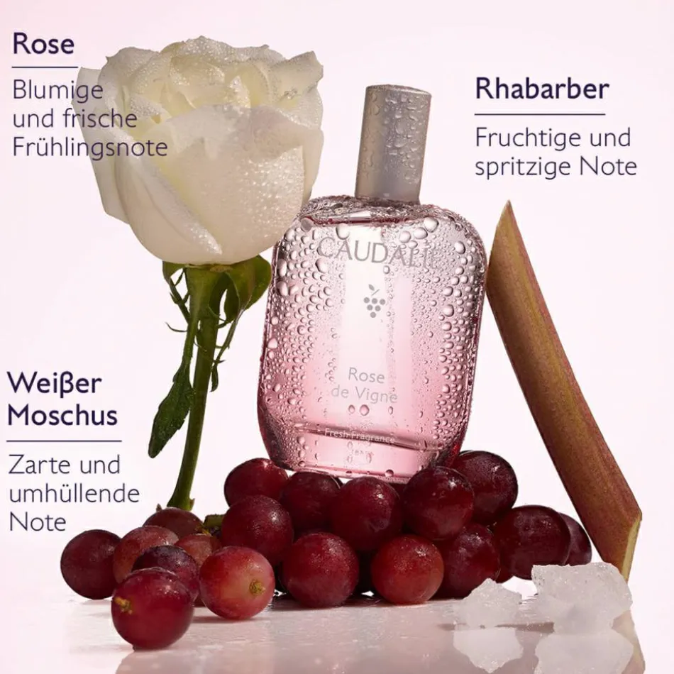 Rose de Vigne Eau Fraîche 50 ml