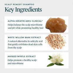 Scalp Remedy   Shampoo 240 ml