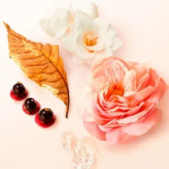 Sì    Eau de Parfum Refill 100 ml