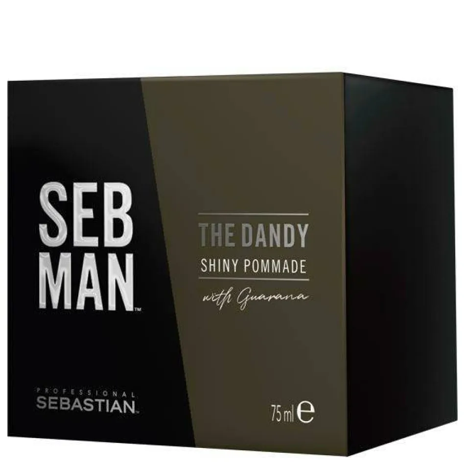 SEB MAN The Dandy Shiny Pomade 75 ml